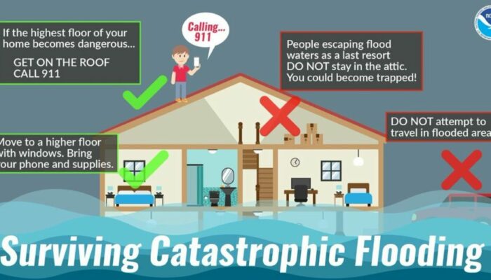 hurricane & storm cleanup coral springs